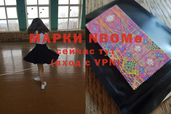 индика Костерёво