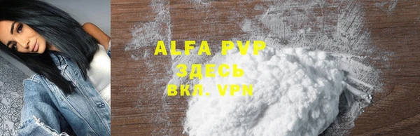 шишки Анива