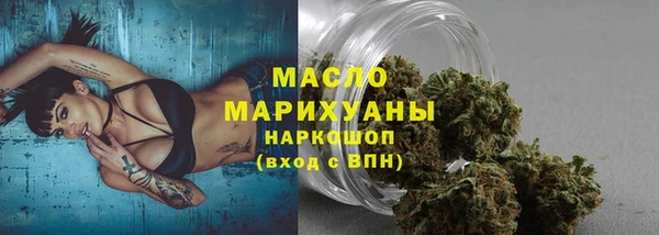 шишки Анива