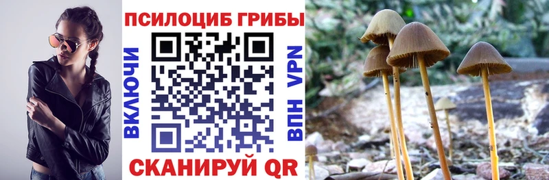 Псилоцибиновые грибы мухоморы  Ленинск-Кузнецкий 