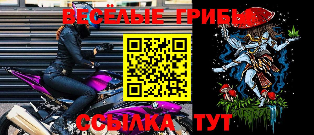 Псилоцибиновые грибы GOLDEN TEACHER Ленинск-Кузнецкий