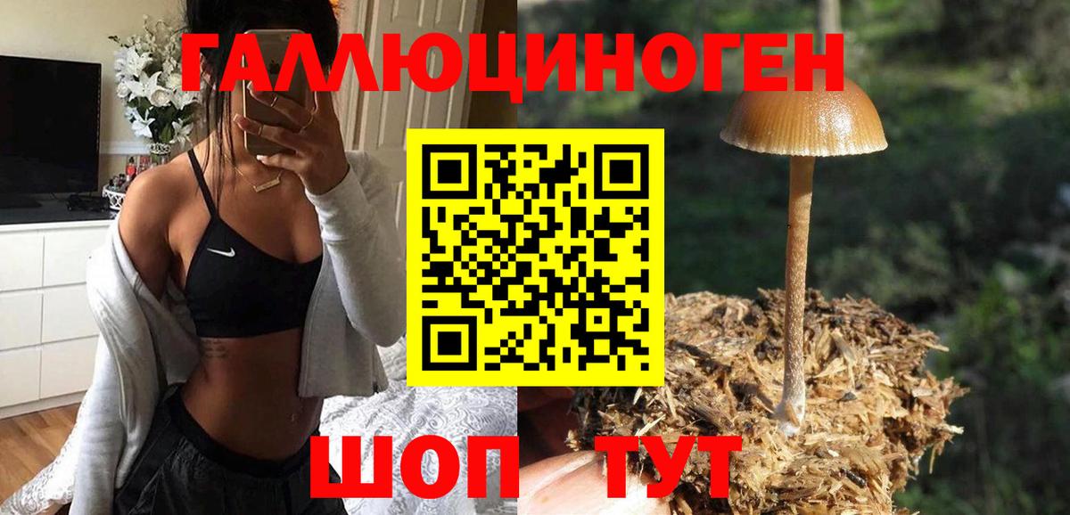 Галлюциногенные грибы Psilocybine cubensis  Вход с VPN  Ленинск-Кузнецкий 