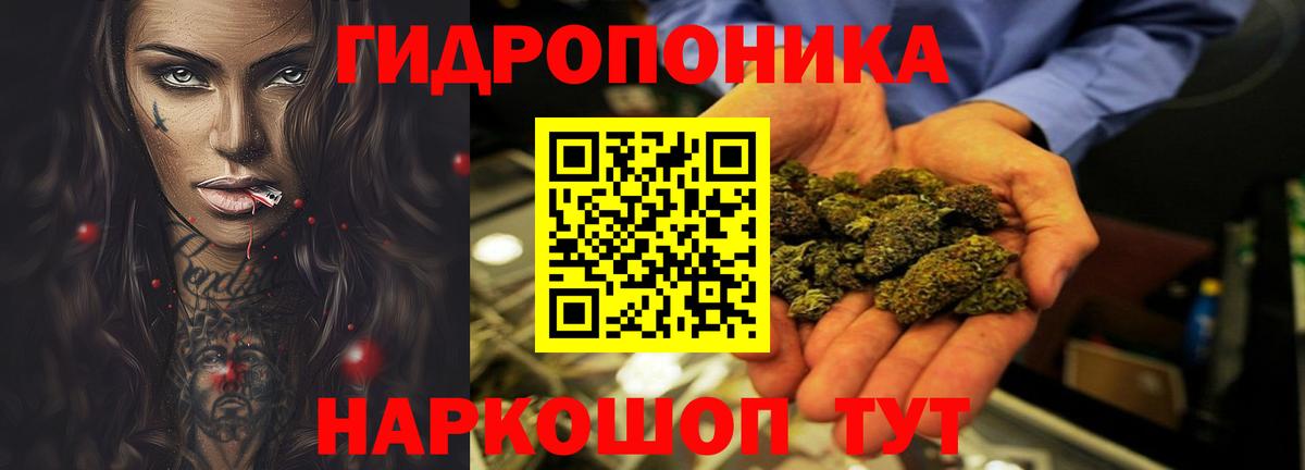 Ленинск-Кузнецкий  Канабис тримм  Бошки марихуана Amnesia  Вход с VPN 
